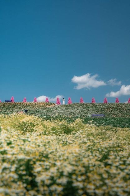 포천_허브아일랜드 (3)