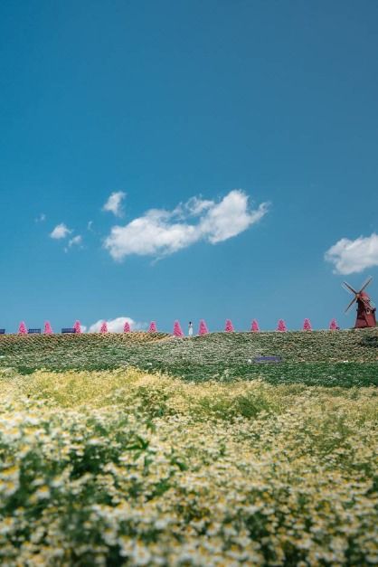 포천_허브아일랜드 (4)