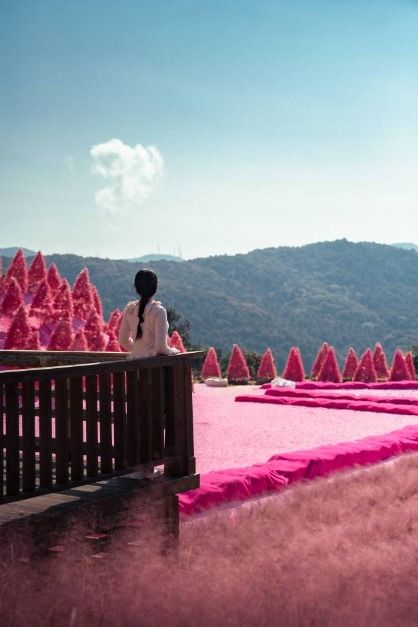 포천_허브아일랜드 (7)