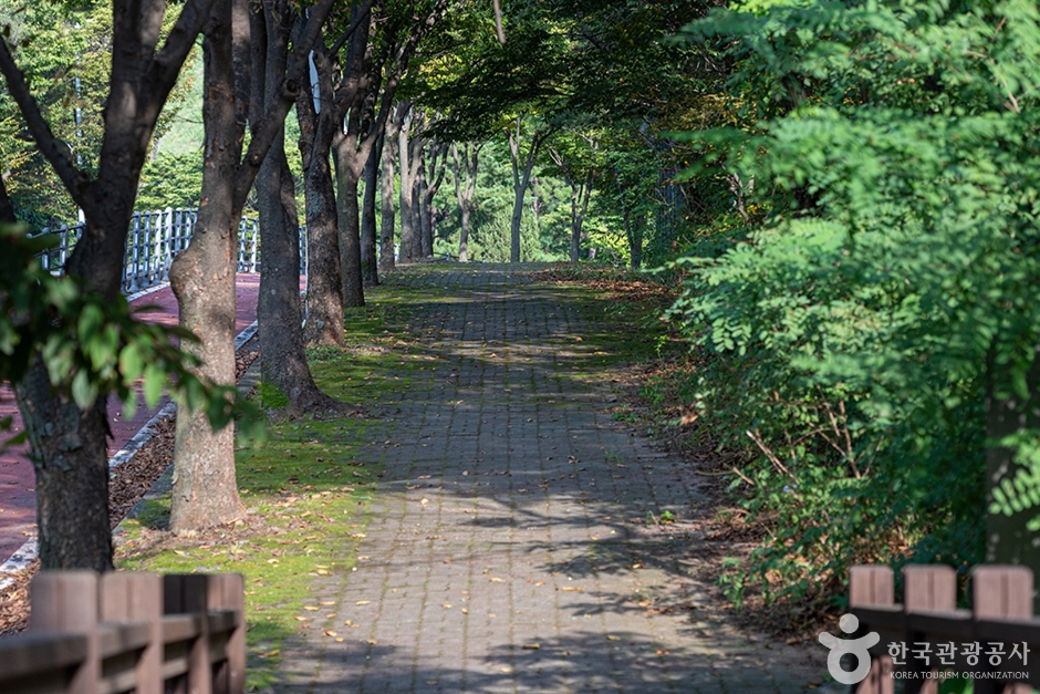 헤이리무장애노을숲길 (8)