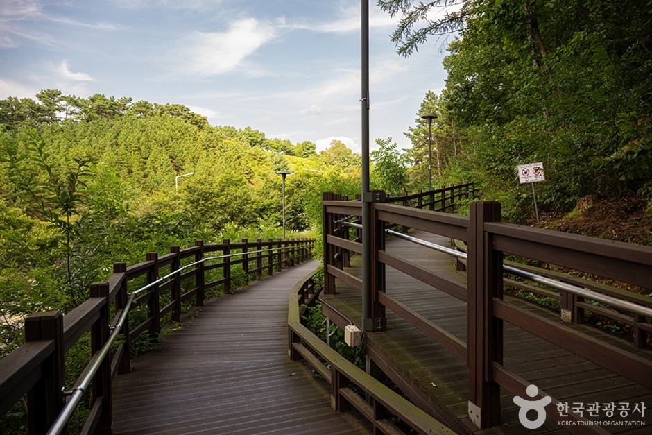 헤이리무장애노을숲길 (10)