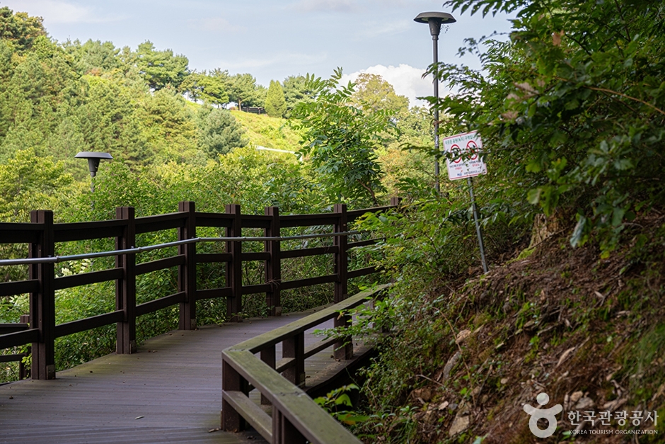 헤이리무장애노을숲길 (12)