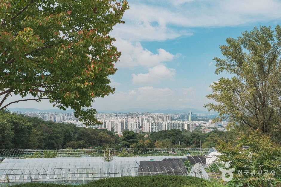 하남_현충탑(하남) (5)