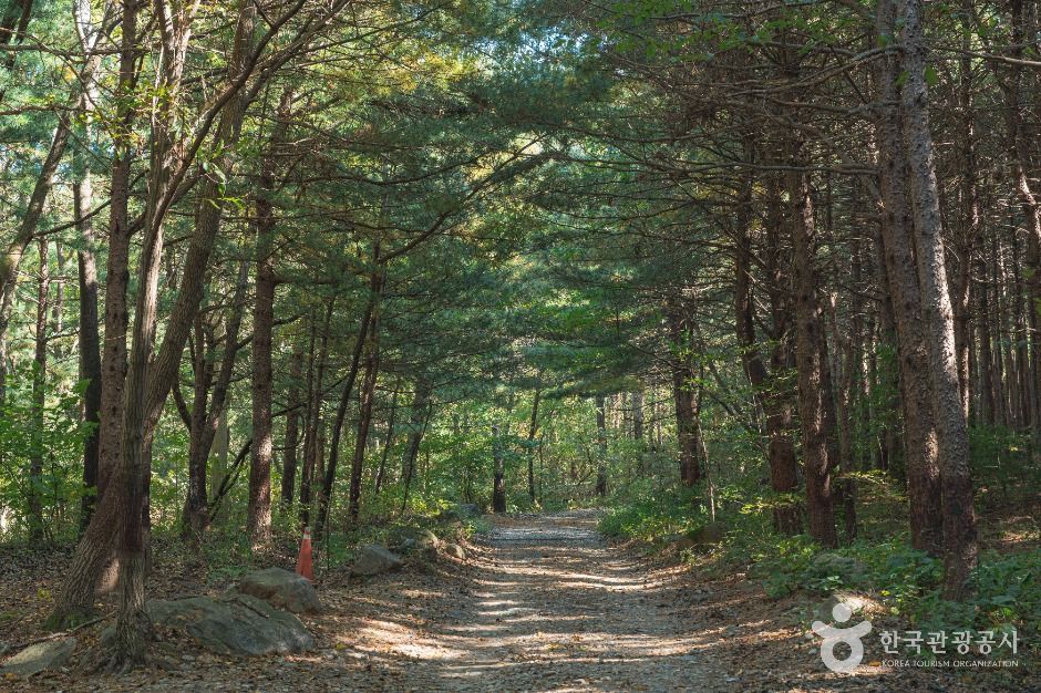 하남_호국사(경기) (2)