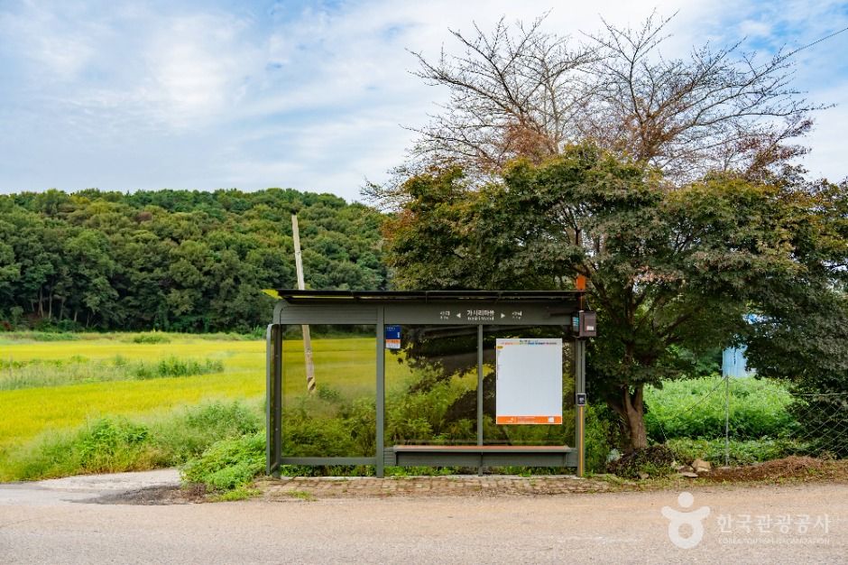 화성_화성가시리마을 (1)