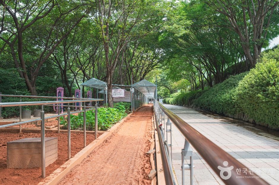 성남_황송공원 (2)