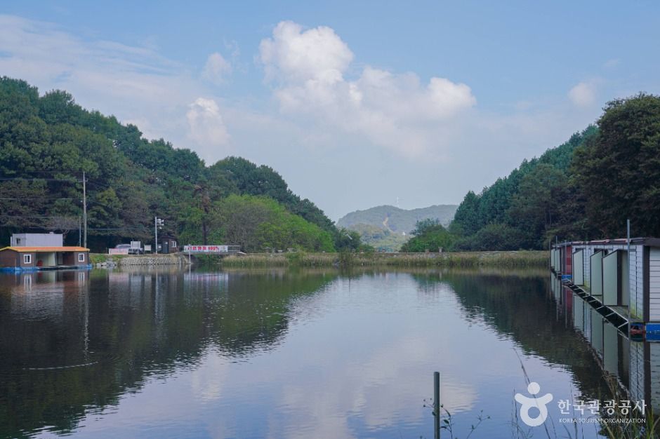 안성_회암저수지 (5)