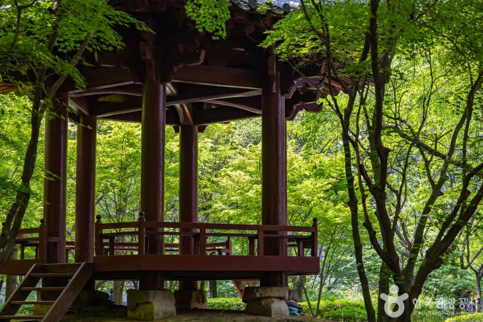 5·18 기념공원 (9)