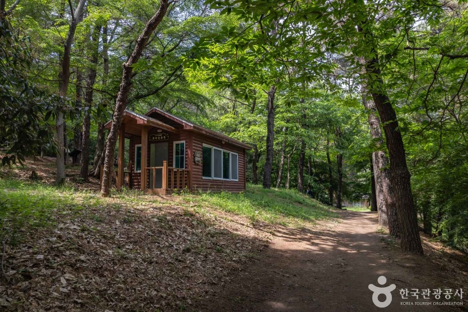 5·18 기념공원 (10)