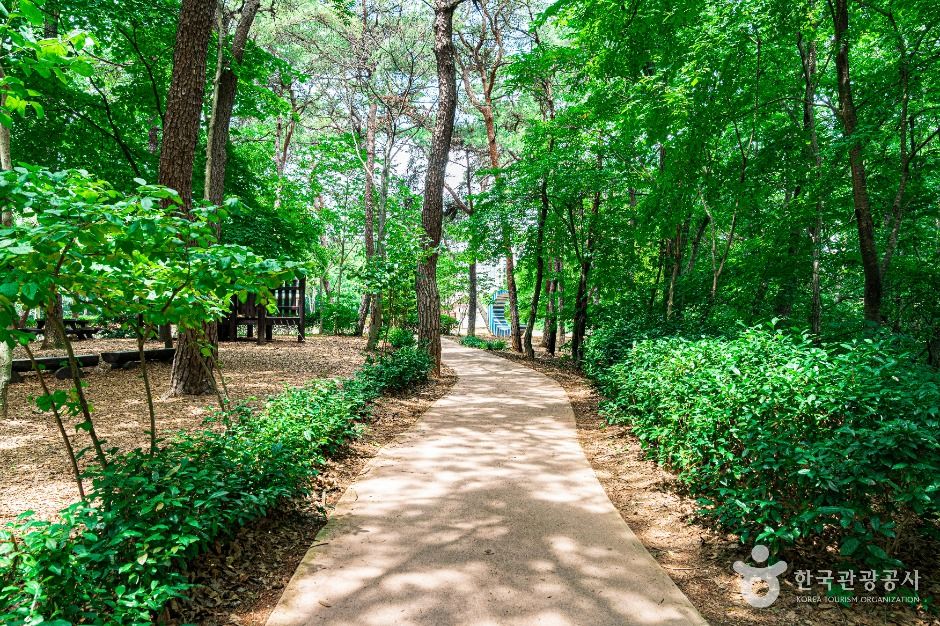 광주_경암근린공원 (3)