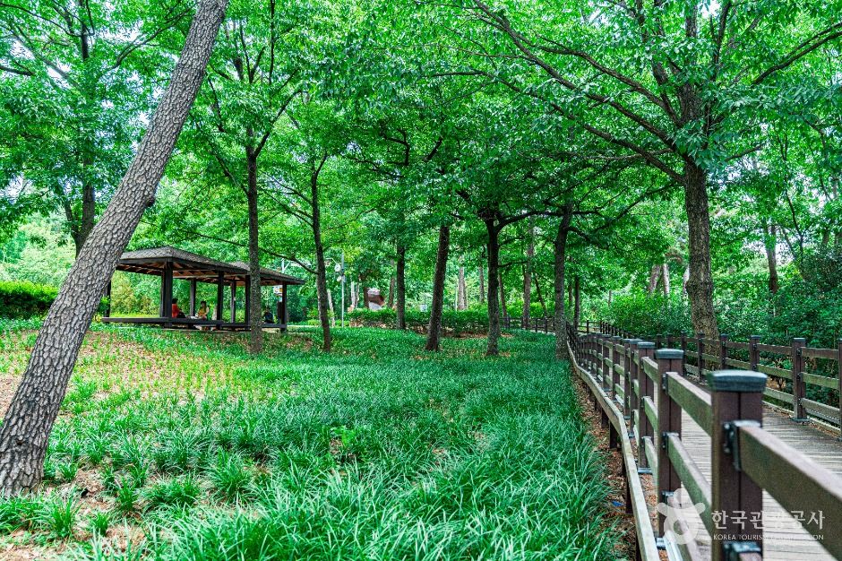 광주_경암근린공원 (6)