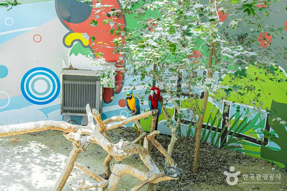 광주_광주 우치공원 동물원 (3)