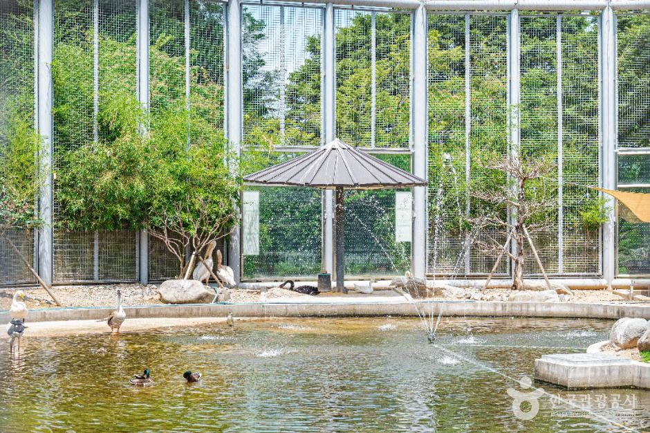 광주_광주 우치공원 동물원 (4)