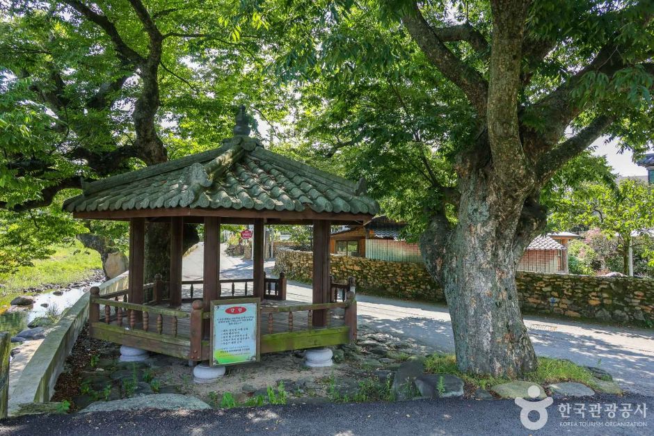 광주 평촌마을 (5)