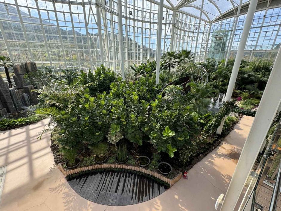 광주_광주시립수목원 (7)