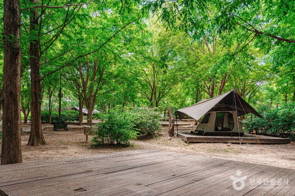 광주_광주시민의숲 (5)