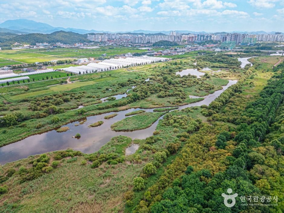 광주_광주시민의숲 (2)