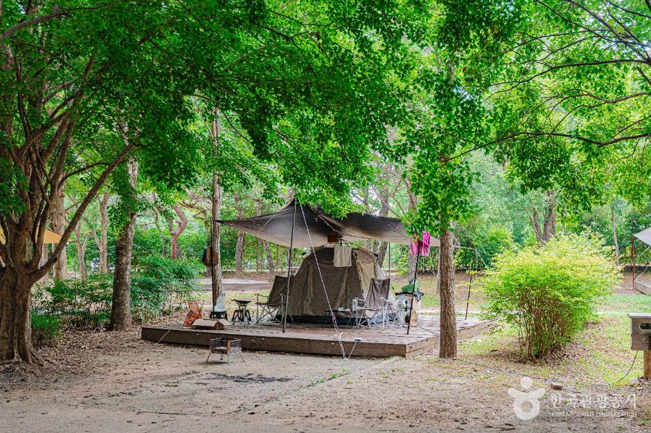 광주_광주시민의숲 (7)