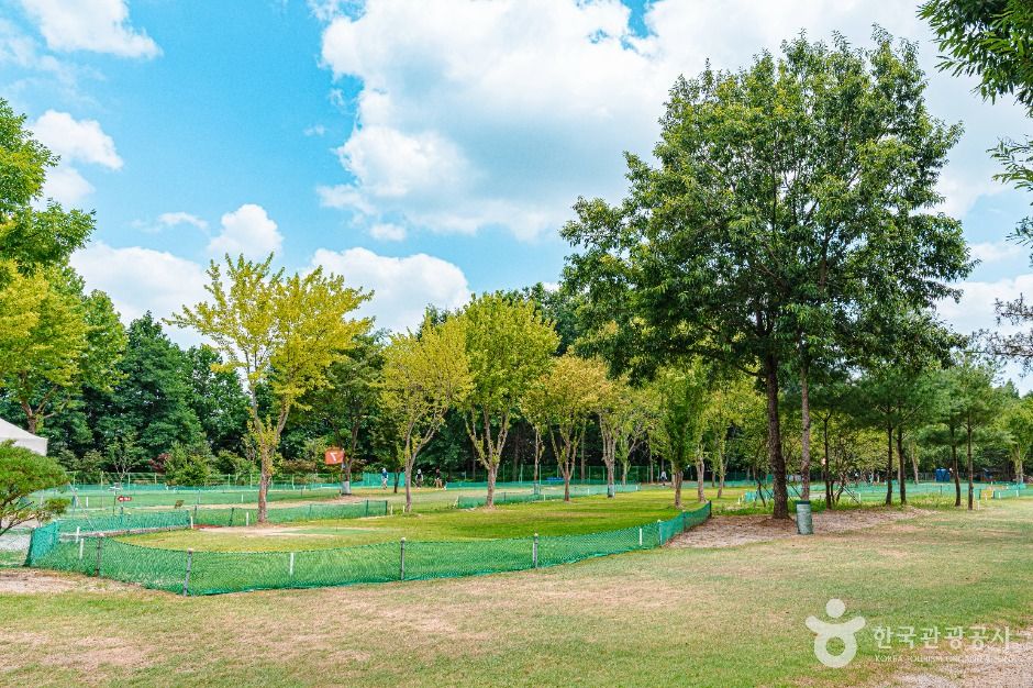 광주_광주시민의숲 (3)