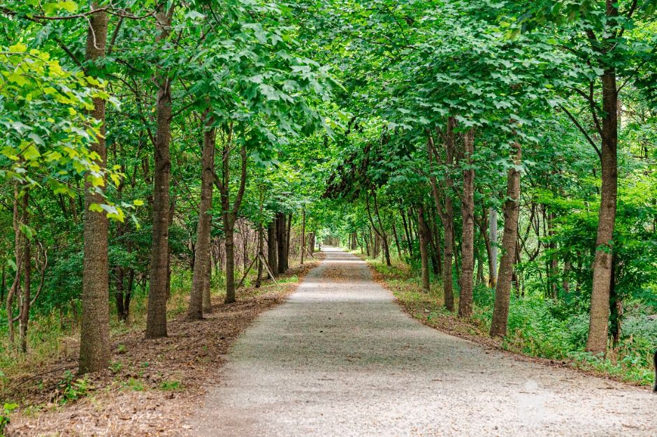 광주_광주시민의숲 (4)