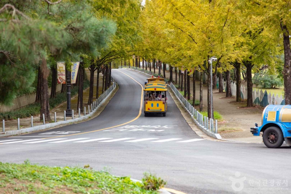 광주_북구_광주패밀리랜드 (1)