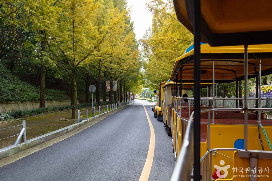 광주_북구_광주패밀리랜드 (3)