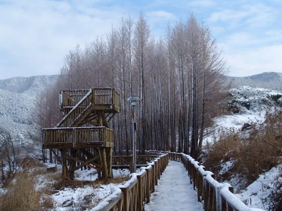 광주호 호수생태원_2