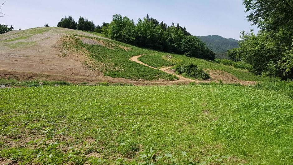 광주호 호수생태원_5