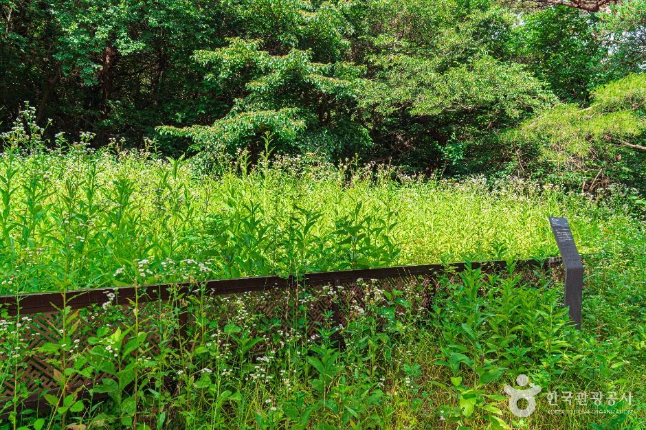 광주_금곡동 제철유적 (1)