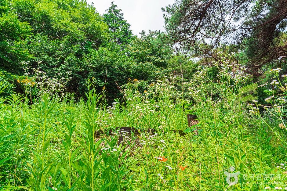 광주_금곡동 제철유적 (2)