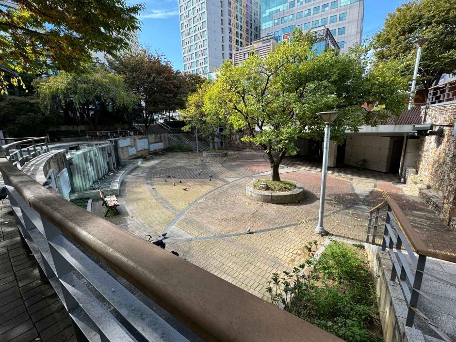 광주_금남로공원 나비정원 (5)