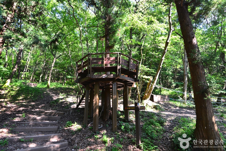 광주_동구_너릿재옛길 (16)