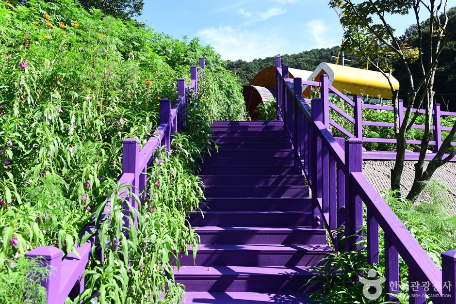 광주_동구_너릿재옛길 (24)