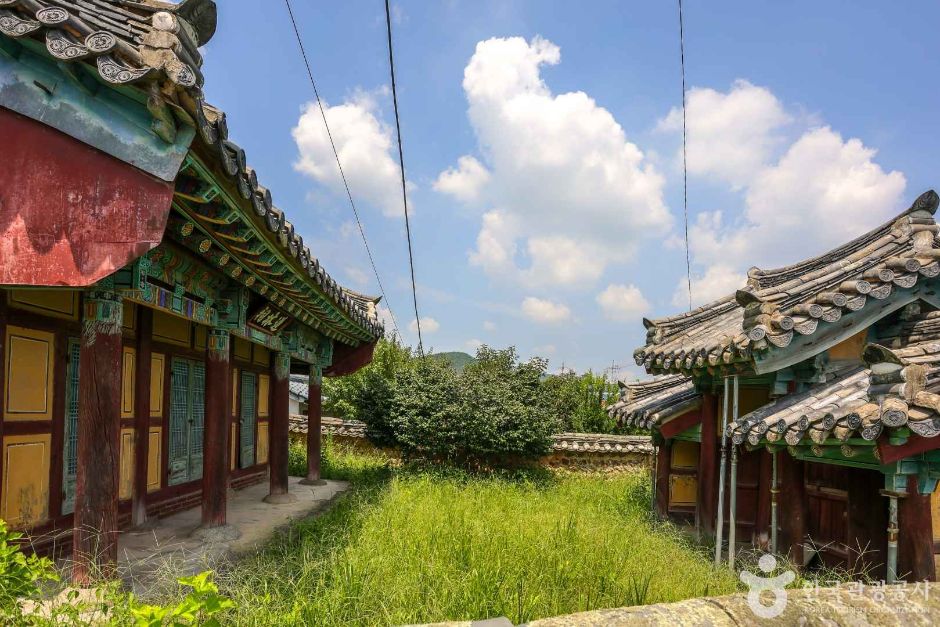 도림사(광주) (5)