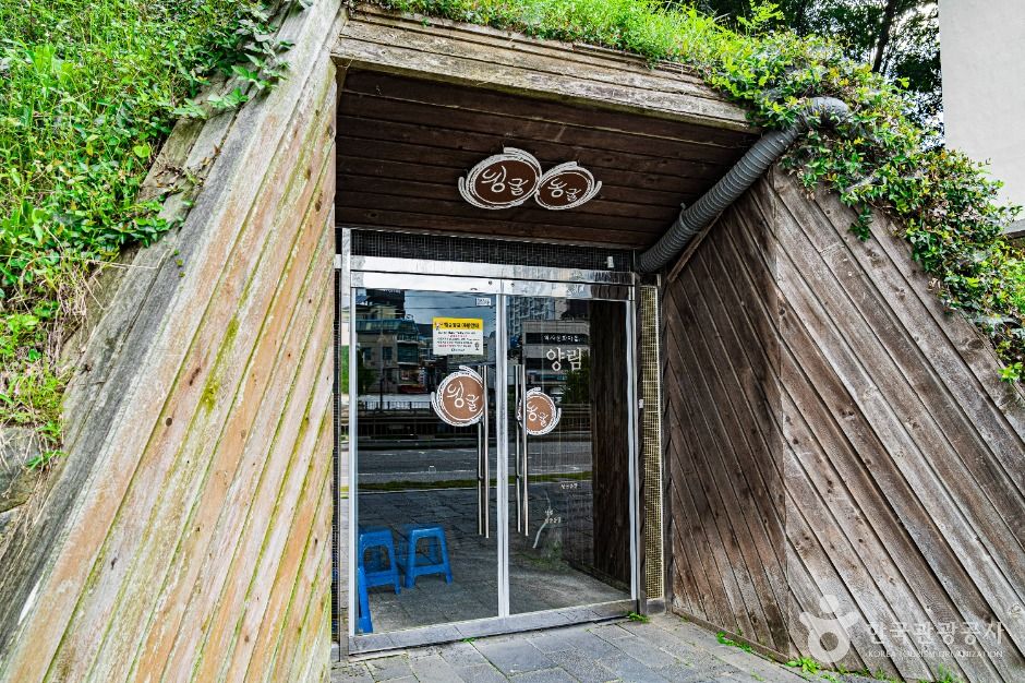 광주_뒹굴동굴 (1)