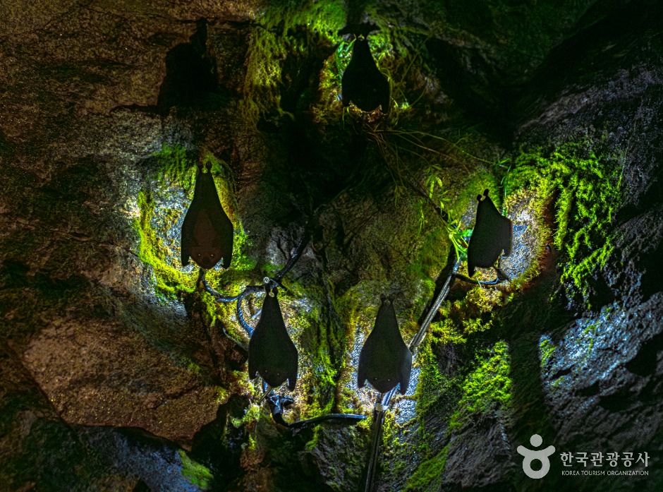 광주_뒹굴동굴 (2)