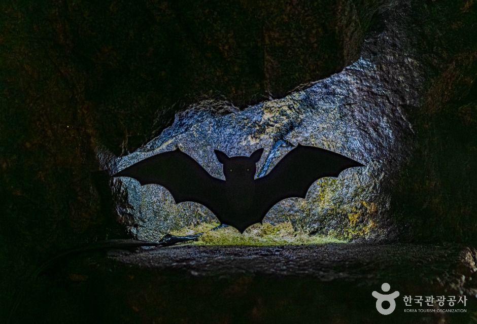 광주_뒹굴동굴 (5)