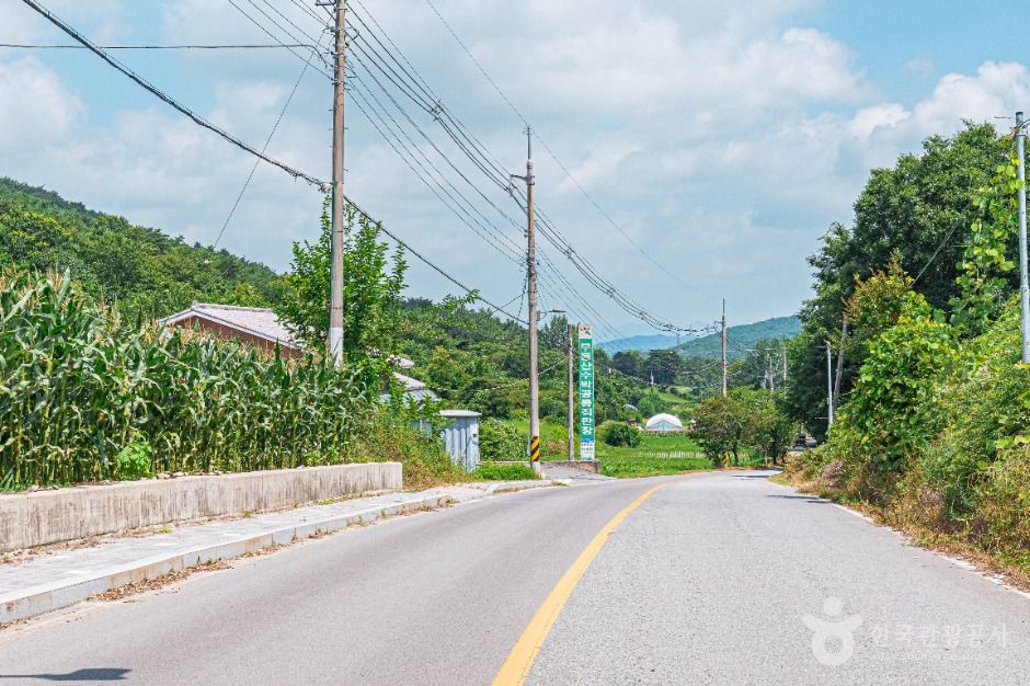 광주_무등산수박마을 (2)