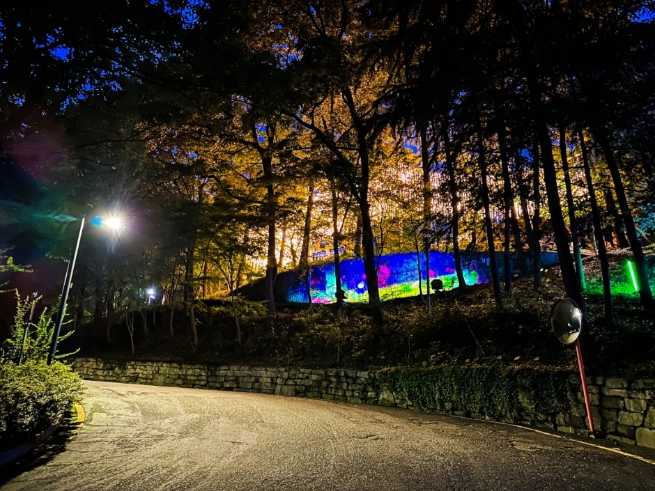 사직 빛의 숲(1)