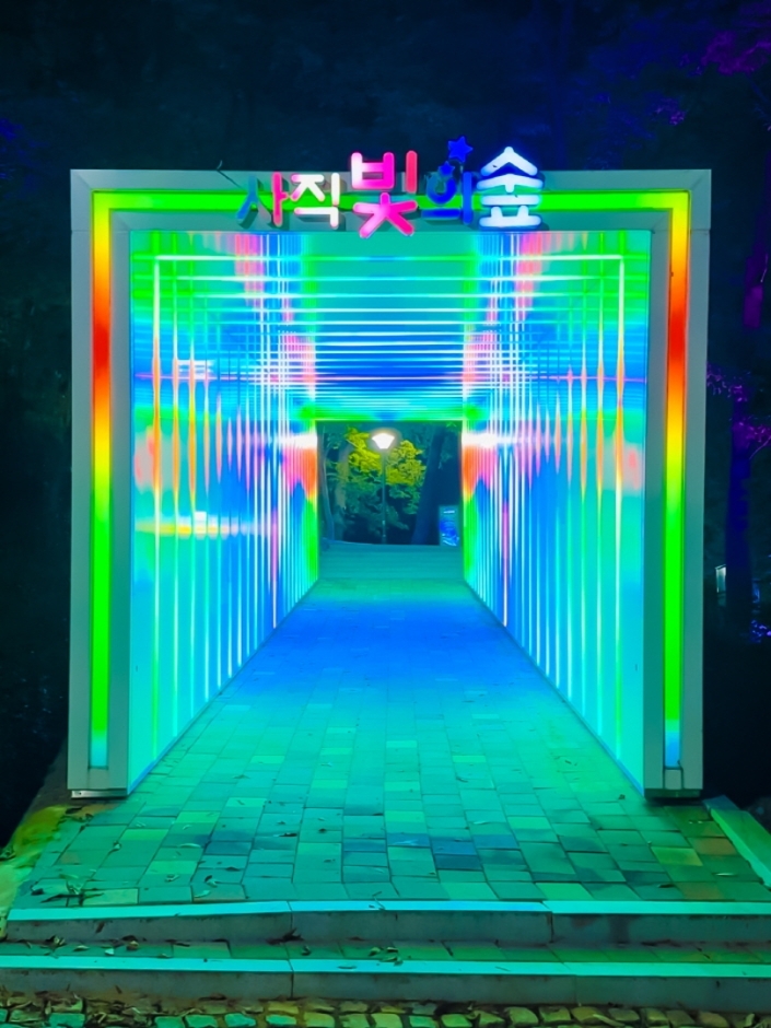 사직 빛의 숲(2)