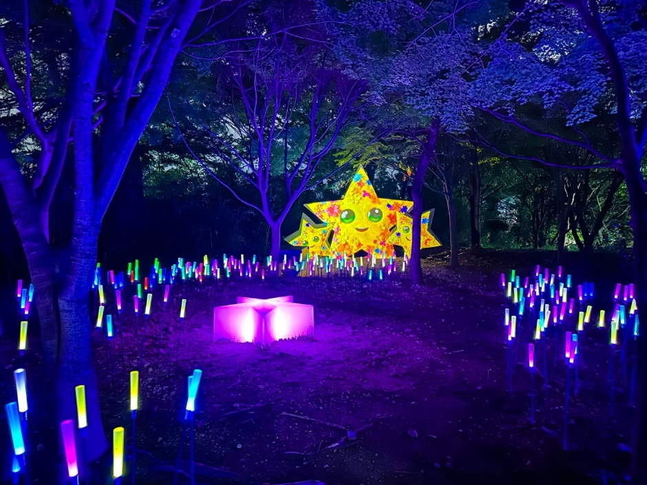 사직 빛의 숲(6)