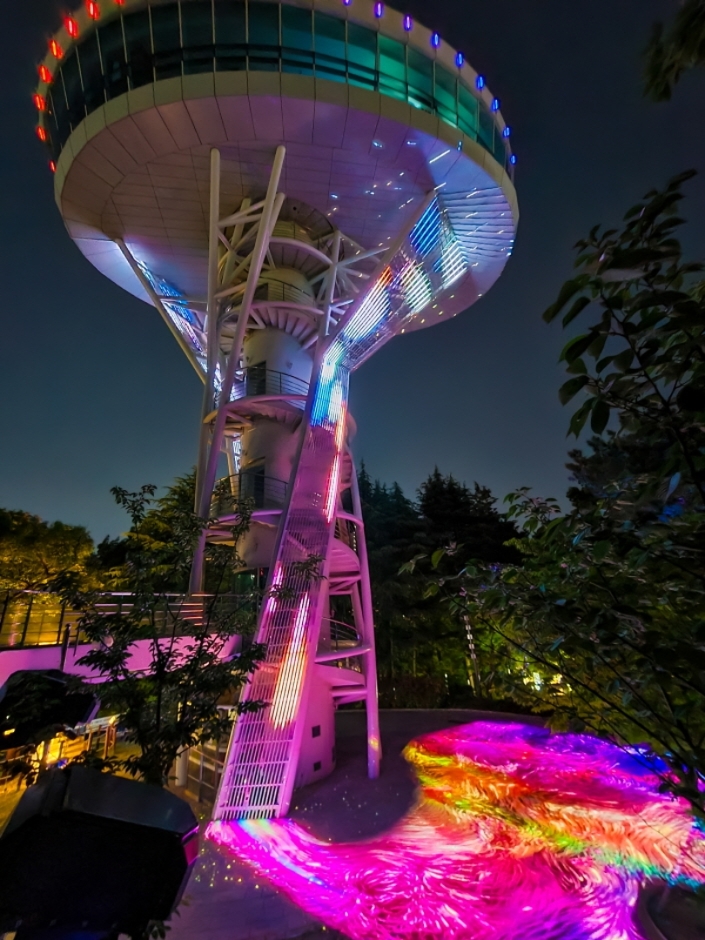 사직 빛의 숲(10)