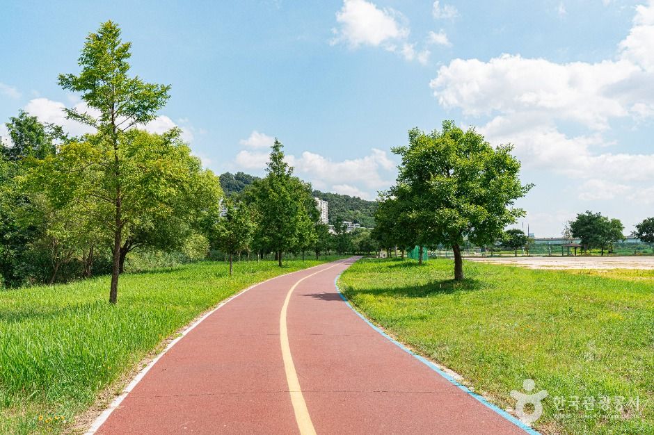 광주_산동교친수공원 (2)