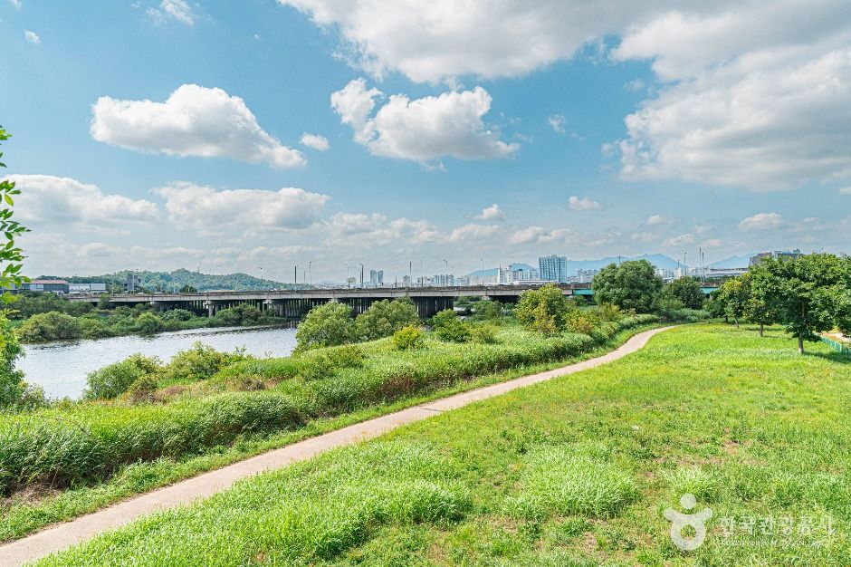 광주_산동교친수공원 (3)