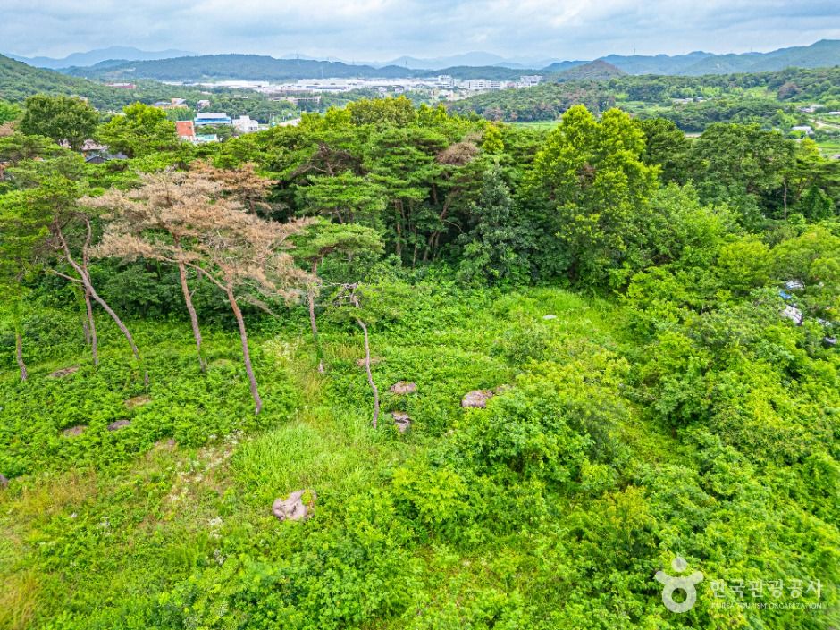 광주_삼거동 고인돌 (4)