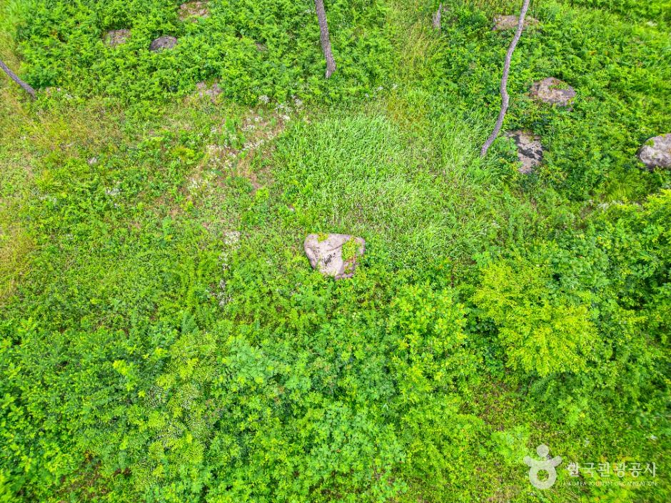 광주_삼거동 고인돌 (5)