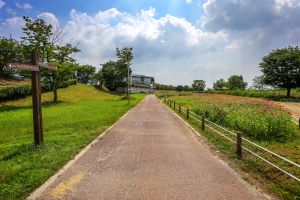 영산강 자전거길