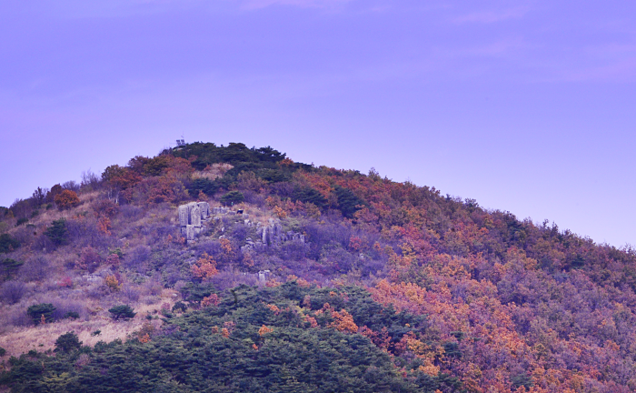 신선대와 억새평전_3