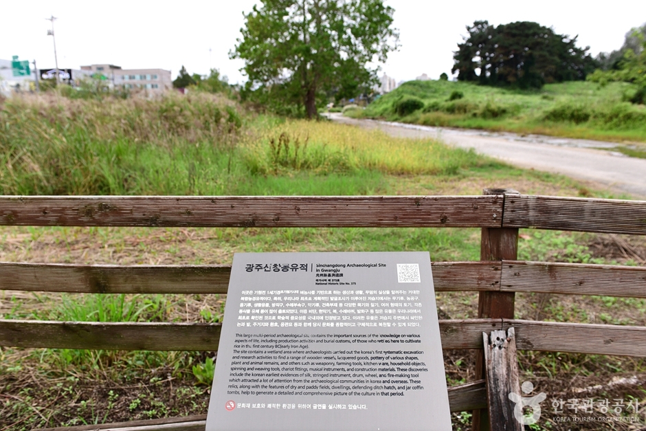 신창동 선사유적지 (3)