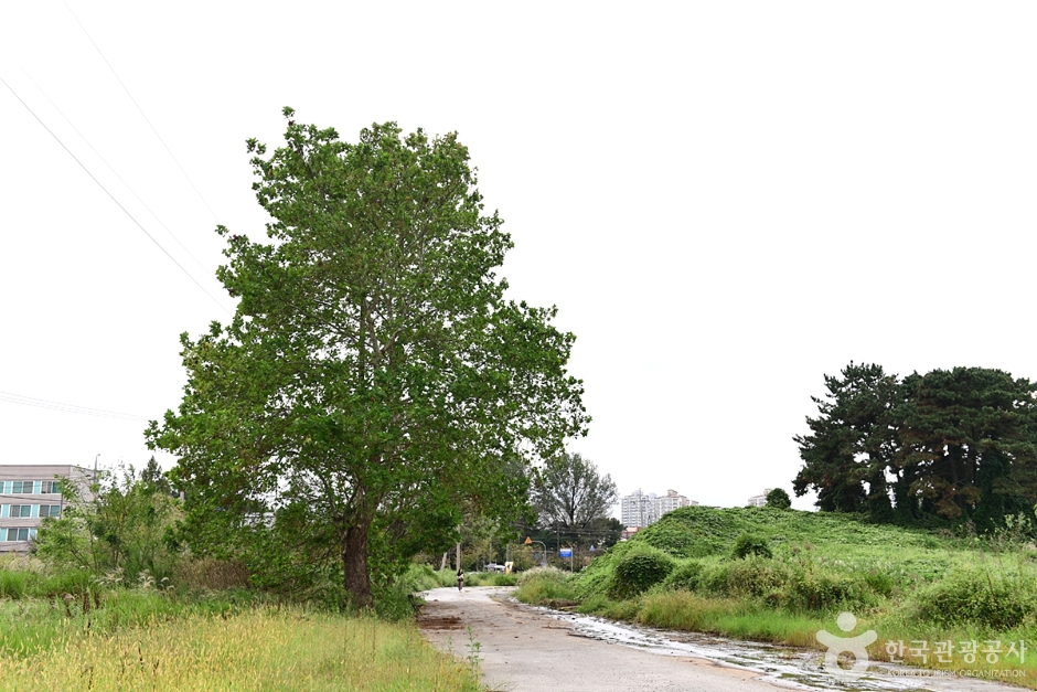 신창동 선사유적지 (4)